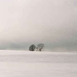 尤物网站在线看
